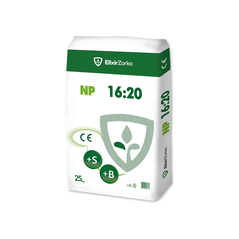 NP 16:20 – Elixir Basic