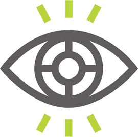 vision icon